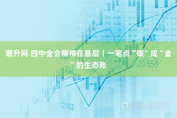 顺升网 四中全会精神在基层丨一笔点“碳”成“金”的生态账