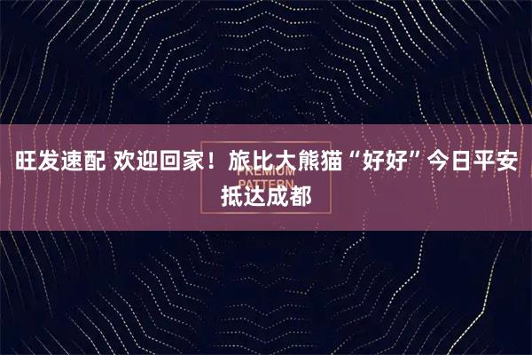 旺发速配 欢迎回家！旅比大熊猫“好好”今日平安抵达成都