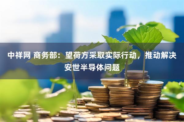 中祥网 商务部：望荷方采取实际行动，推动解决安世半导体问题
