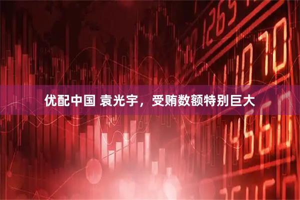 优配中国 袁光宇，受贿数额特别巨大