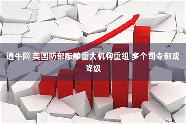 通牛网 美国防部酝酿重大机构重组 多个司令部或降级
