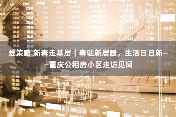 爱策略 新春走基层｜春驻新居暖，生活日日新——重庆公租房小区走访见闻