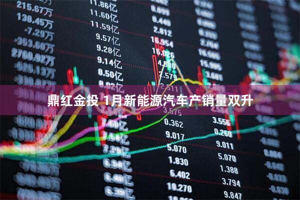 鼎红金投 1月新能源汽车产销量双升
